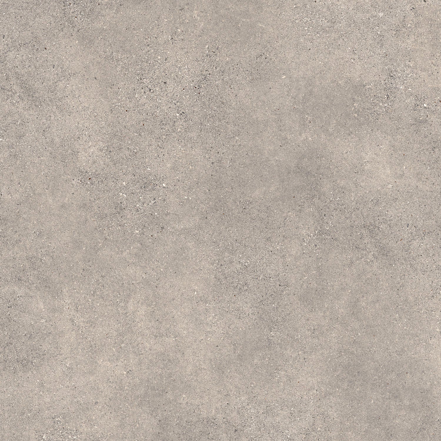 Brighton Mud – 100 × 100 cm – Fliese