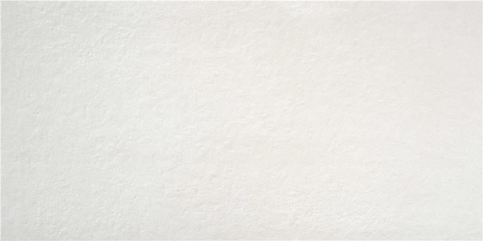 Public White – 30 × 60 cm