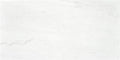 Le Blanc White Sat – 60 × 120 cm