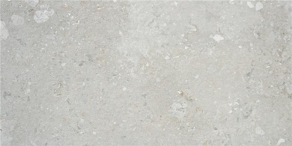 Lifestyle Grey – 60 × 120 cm