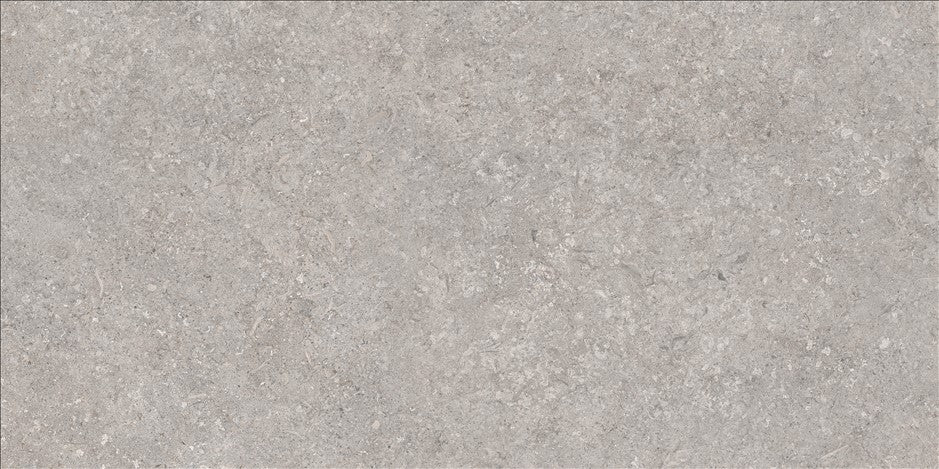 Softstone Grey – 60 × 120 cm