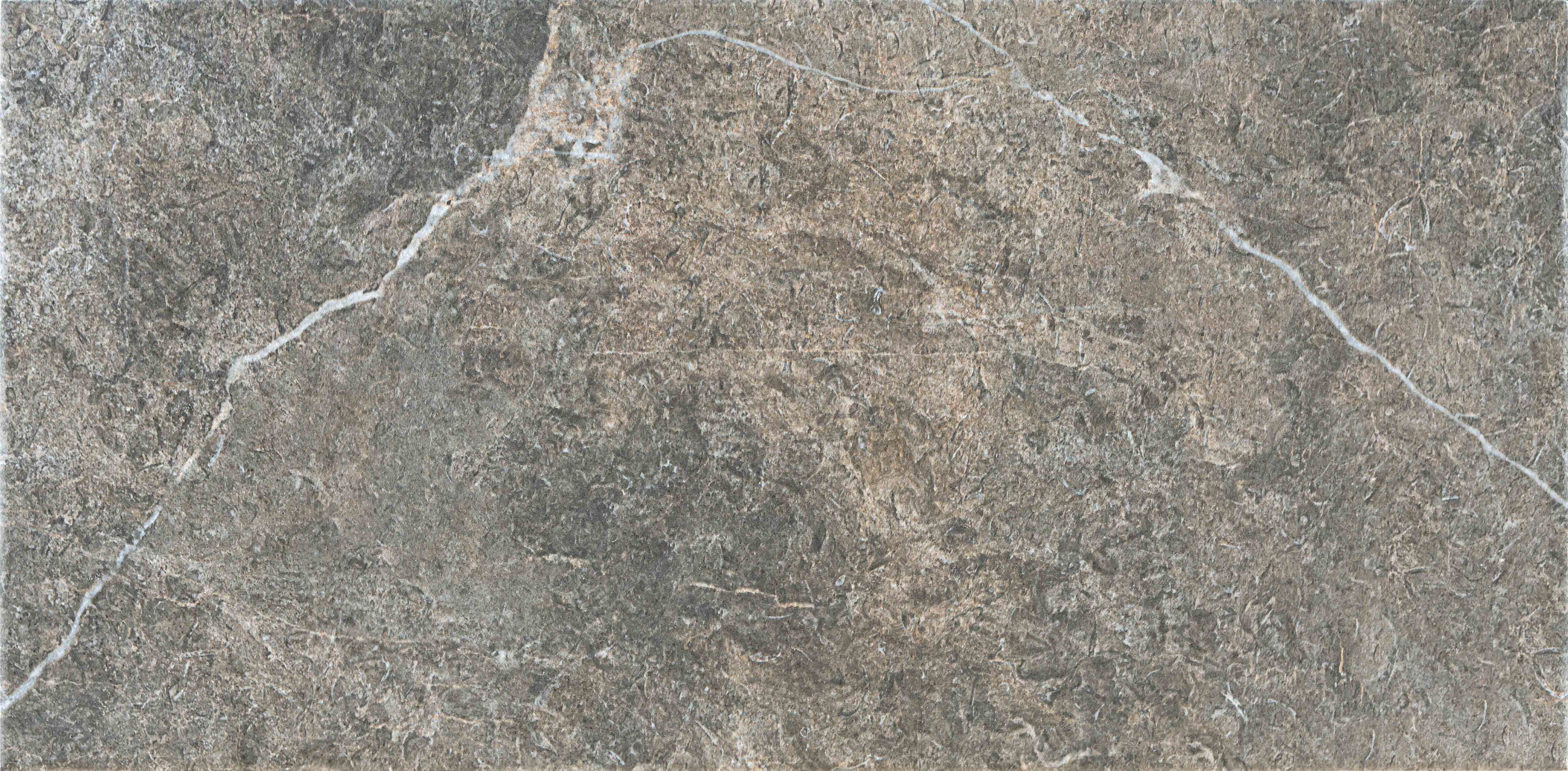Anaya Argent – 30.3 × 61.3 cm – Fliese