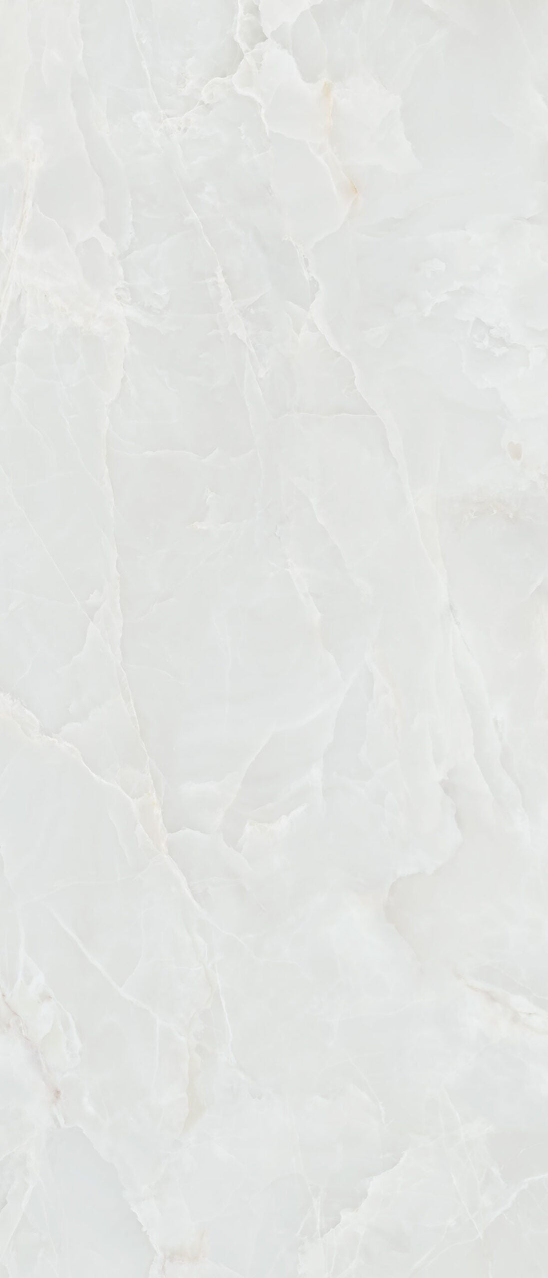 Garner White poliert – 30 × 60 cm