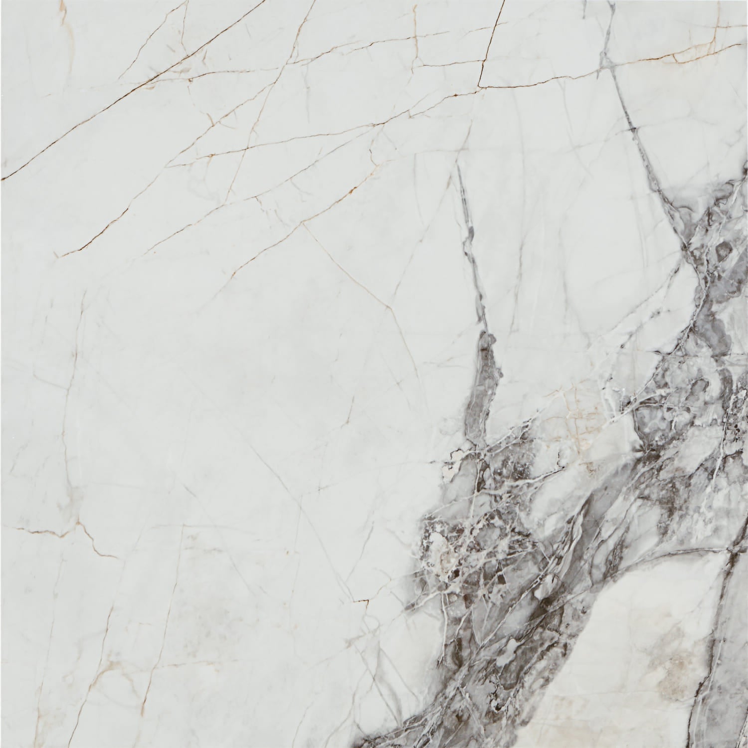 Invisible White – 60.8 × 60.8 cm – Fliese