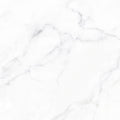 Kimura Xt. Kimura Blanco – 60 × 60 cm – Fliese
