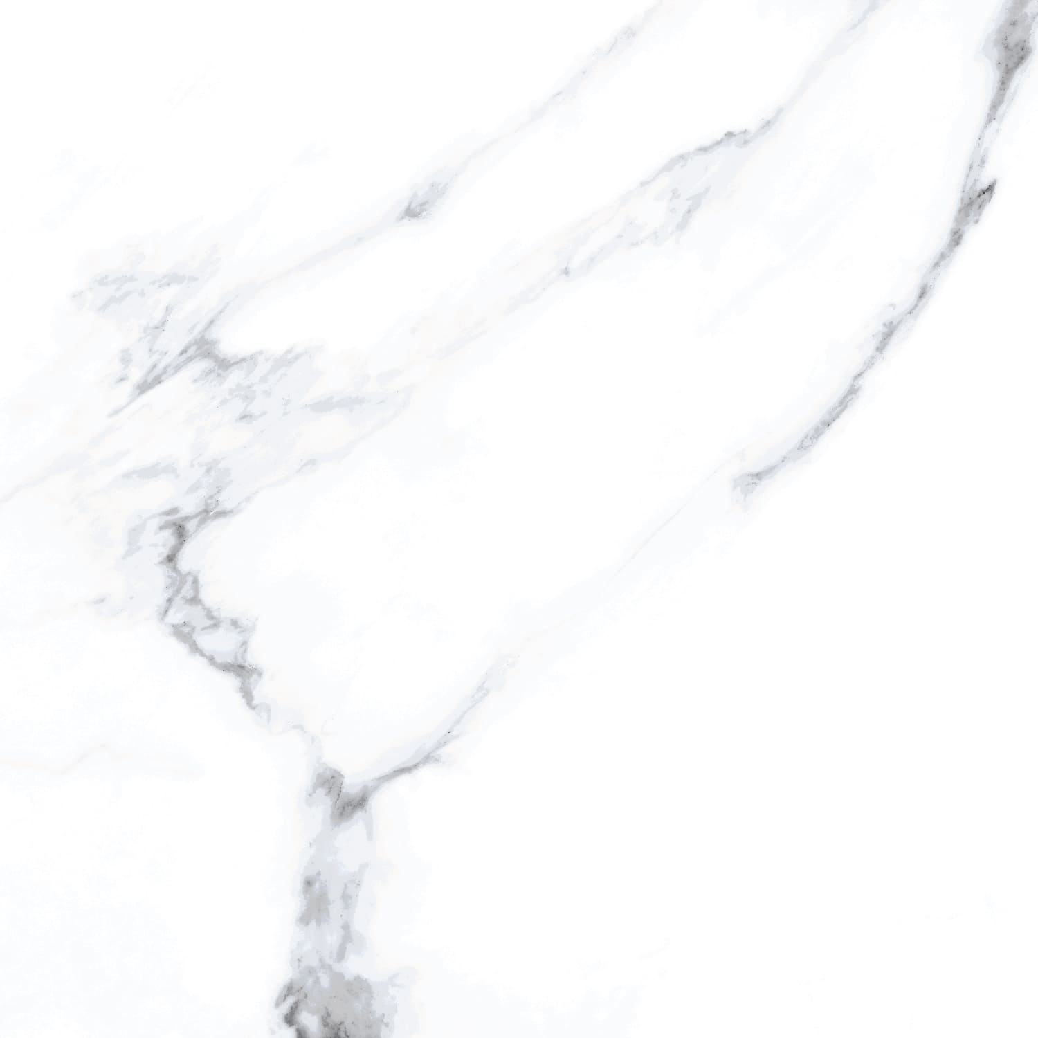 Maese Maese – 60.8 × 60.8 cm – Fliese