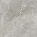 Mt Olympia Gris – 100 × 100 cm – Fliese
