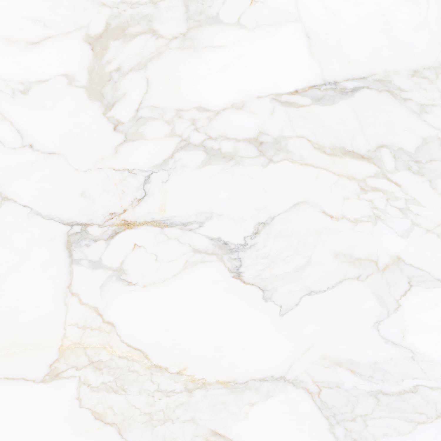 Paonazzo Gold – 90 × 90 cm – Fliese