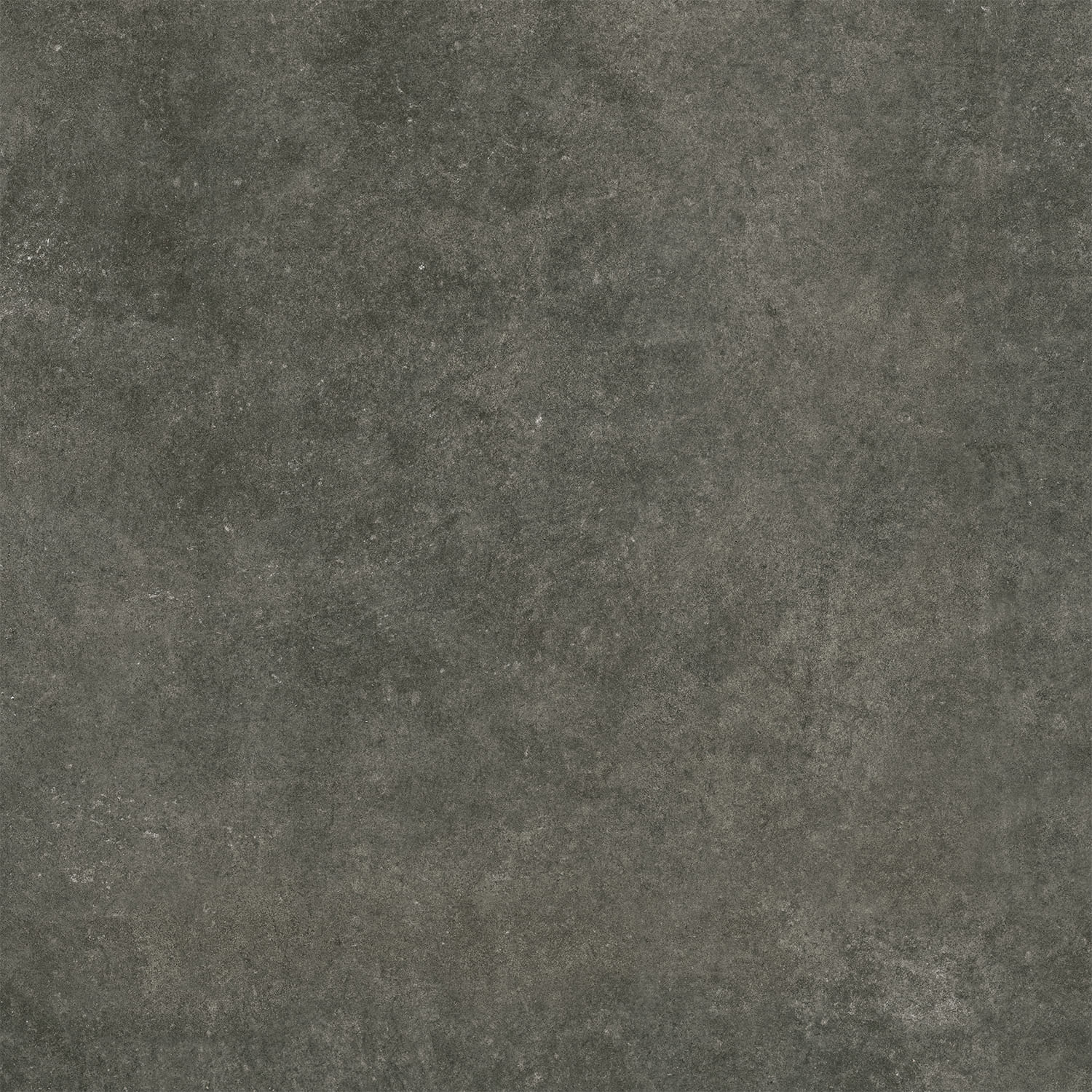 Plock Grafito – 60.8 × 60.8 cm – Fliese