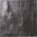 Carmen Tennessee Black 13.8x13.8