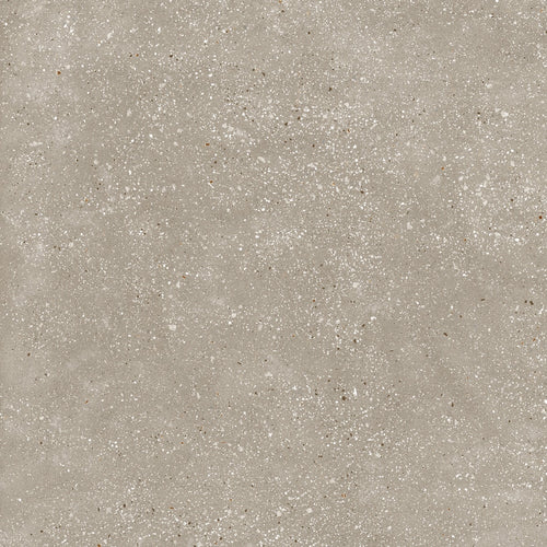 Ama Tortora – 60 × 120 cm