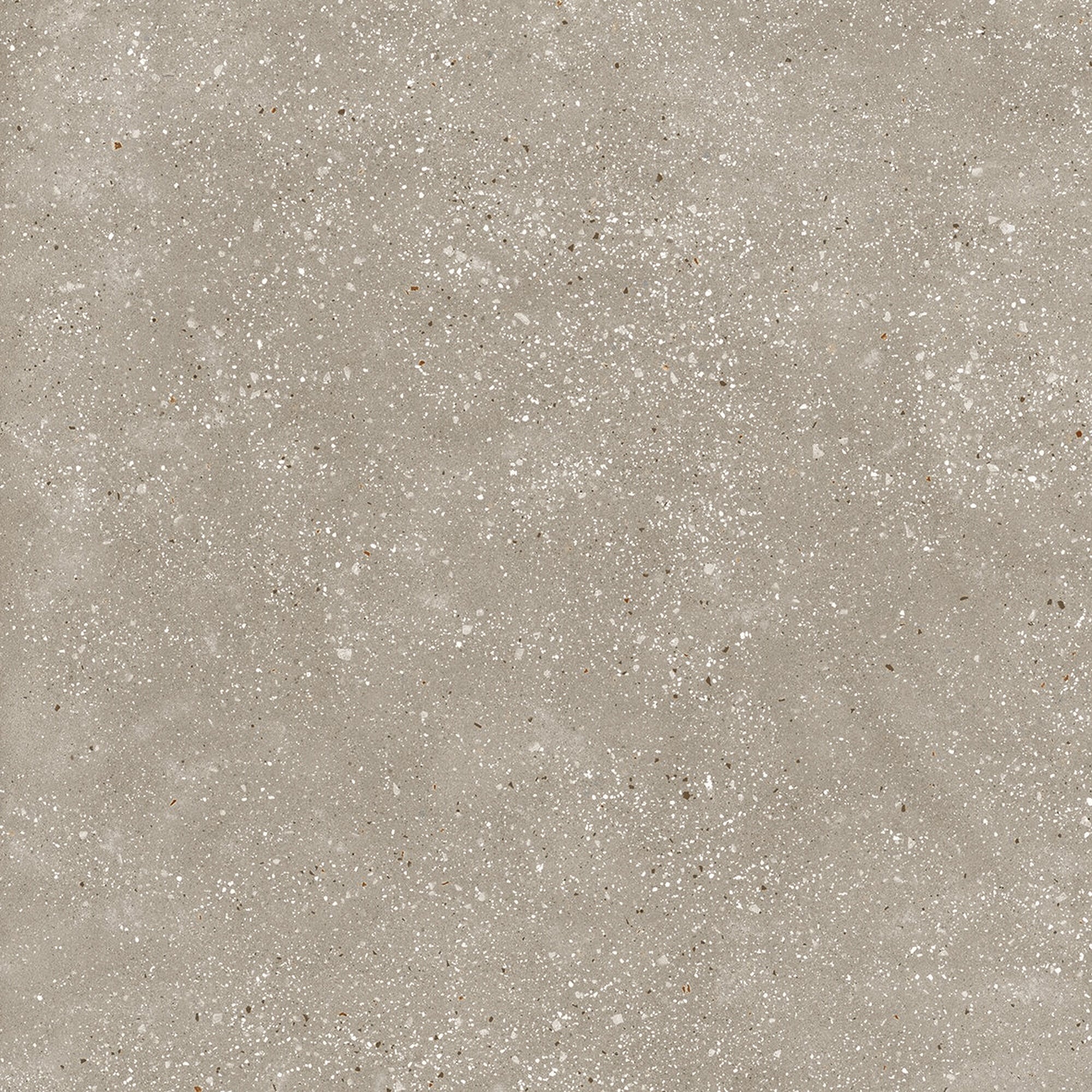 Ama Tortora – 60 × 60 cm