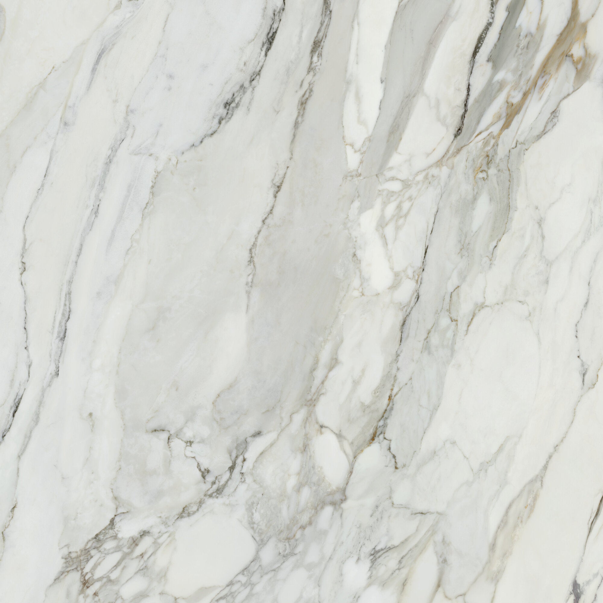 Arabescato Corchia – 60 × 120 cm
