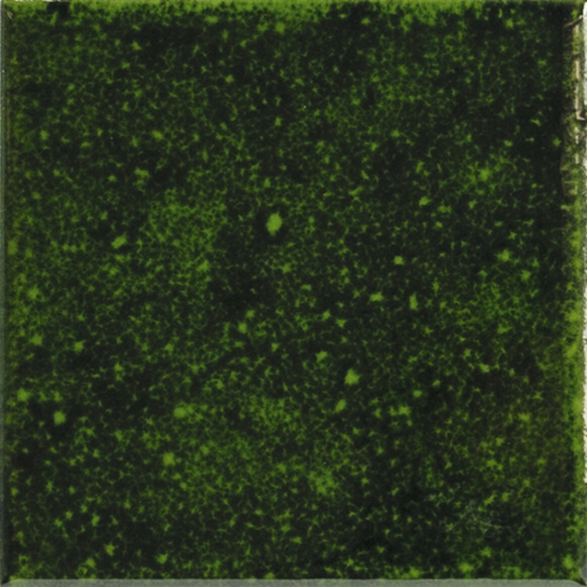 Genuine Emerald – 10×10 cm