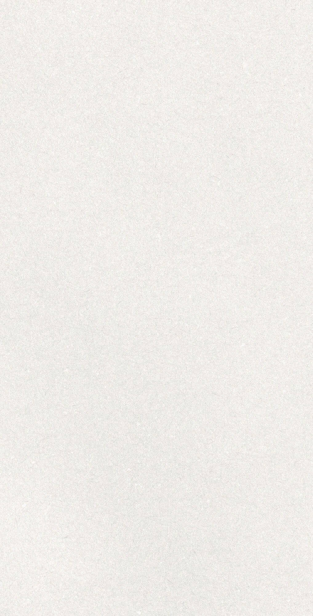 Caprice White – 60 × 120 cm