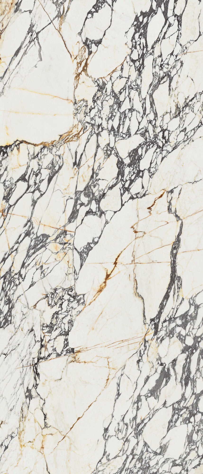 Calacatta Corchia – 120 × 280 cm