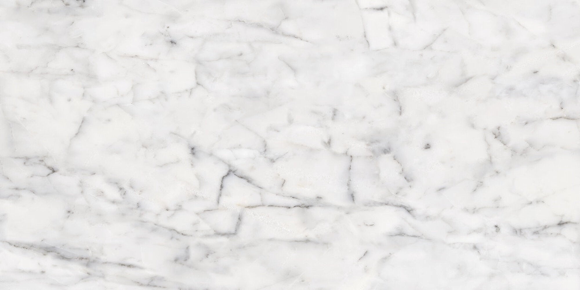 Vita Polished – 30 × 60 cm