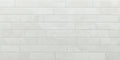 Ponera Rlv. Cold – 60 × 120 cm – Fliese