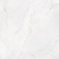 Discover Blanco poliert – 60 × 60 cm
