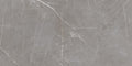 Status Gris – 60 × 120 cm