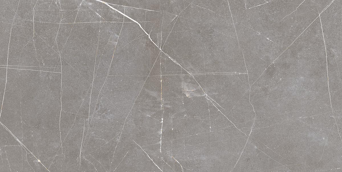 Status Gris – 60 × 120 cm